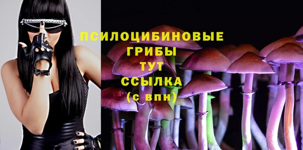 бутират Лихославль
