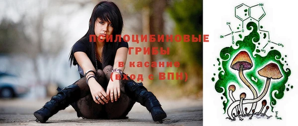 тгк Липки