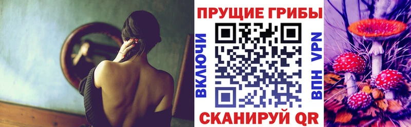 Псилоцибиновые грибы Psilocybe  Купить где  Берёзовский 